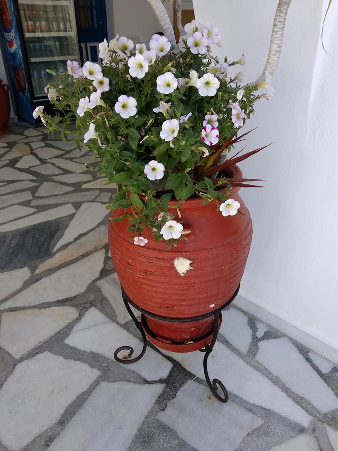Anna Studios Agios Prokopios  Exterior foto
